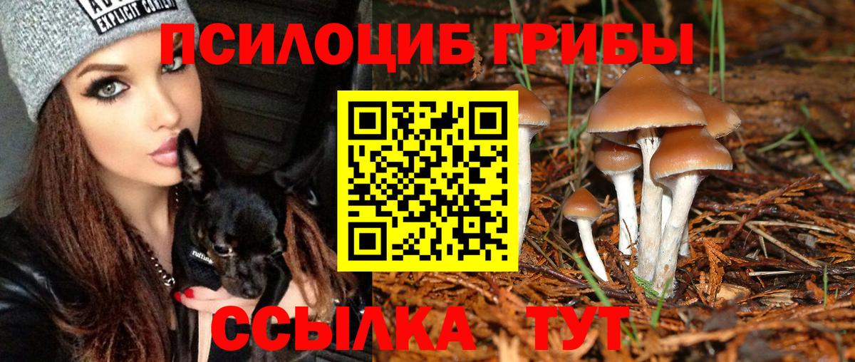 Галлюциногенные грибы Psilocybine cubensis Рузаевка
