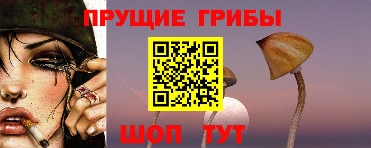 хочу наркоту  Псилоцибиновые грибы мицелий  Вход с VPN  Рузаевка 